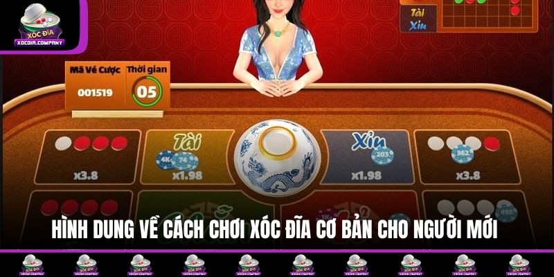 Hình dung về cách chơi xóc đĩa cơ bản cho người mới