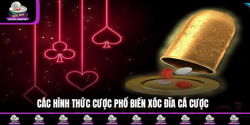 Các hình thức cược phổ biến xóc đĩa cá cược 
