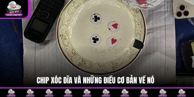 Chip xóc đĩa và những điều cơ bản về nó