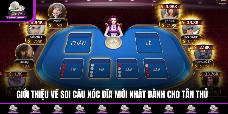 Giới thiệu về soi cầu xóc đĩa mới nhất dành cho tân thủ