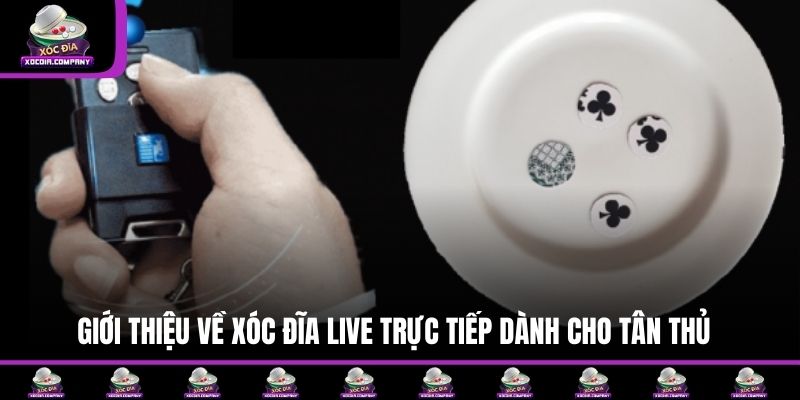 Giới thiệu về xóc đĩa live trực tiếp dành cho tân thủ
