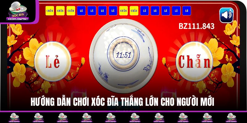 Hướng dẫn chơi xóc đĩa thắng lớn cho người mới