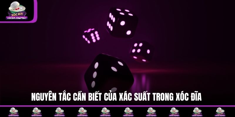 Nguyên tắc cần biết của xác suất trong xóc đĩa