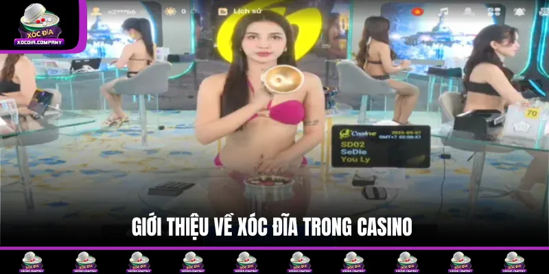 Xóc đĩa casino là game siêu hay 